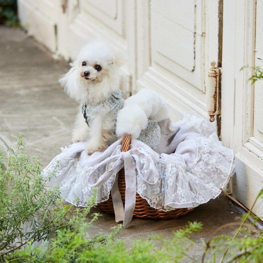 Cute Dog Clothes for Small Dogs - Dog Clothes Pattern Book