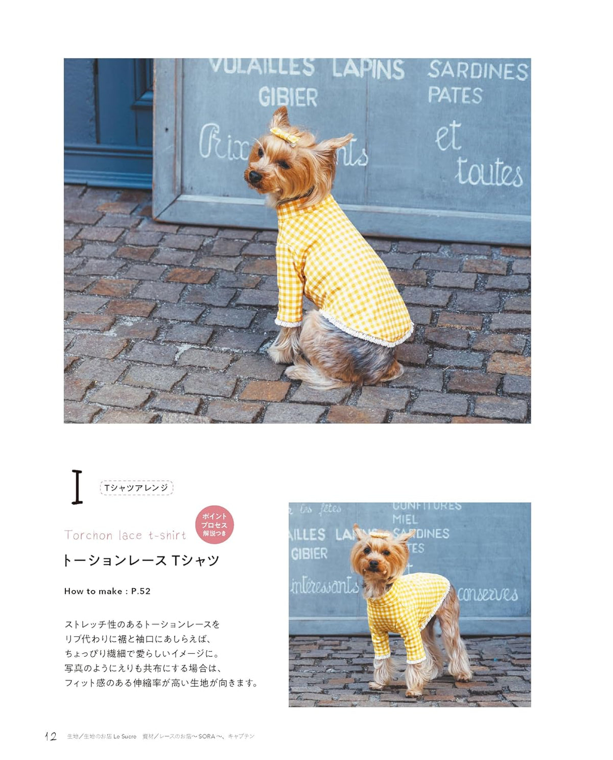 Licence Free Dog Wear for Your Beloved Dog - Dog Clothes Pattern Book