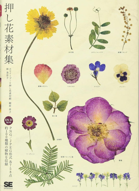 Pressed Flower Materials Collection - Japanese Book