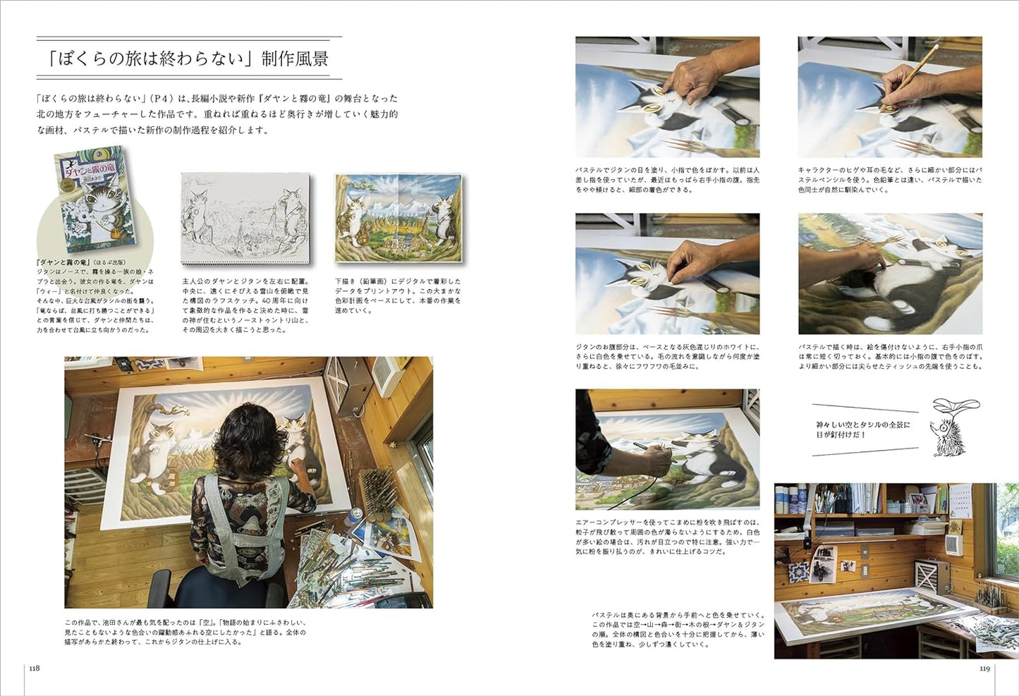 40th Anniversary of Dayan the Cat  - Japanese Art Book