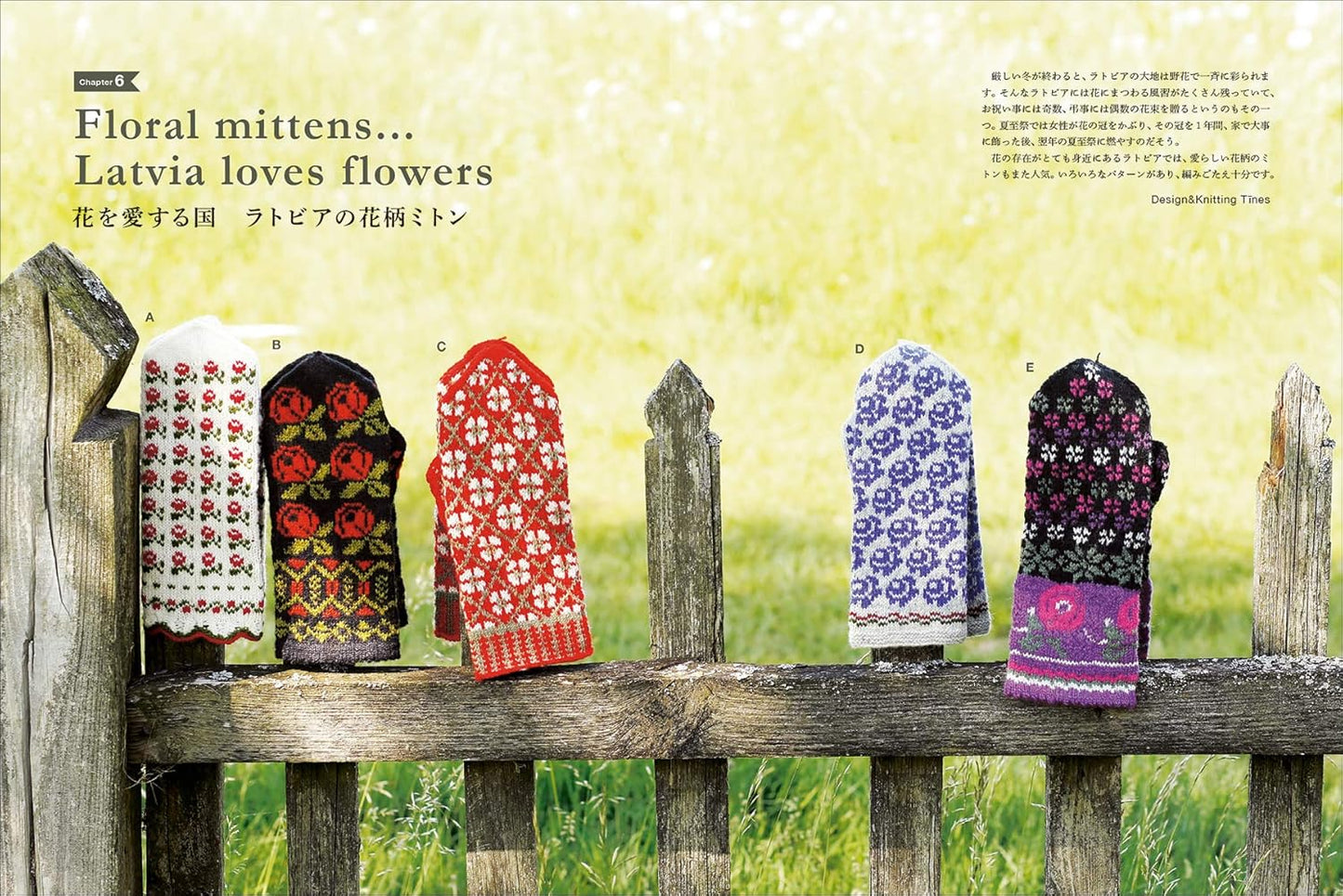 Hand Knitted Mittens of Latvia - Japanese Craft Book