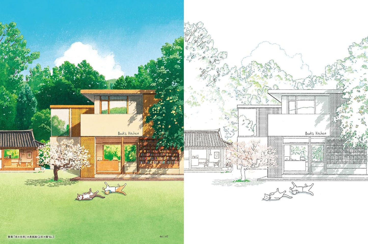 Travel Through Korea’s Four Seasons with Two Charming Cats - Japanese Coloring Book