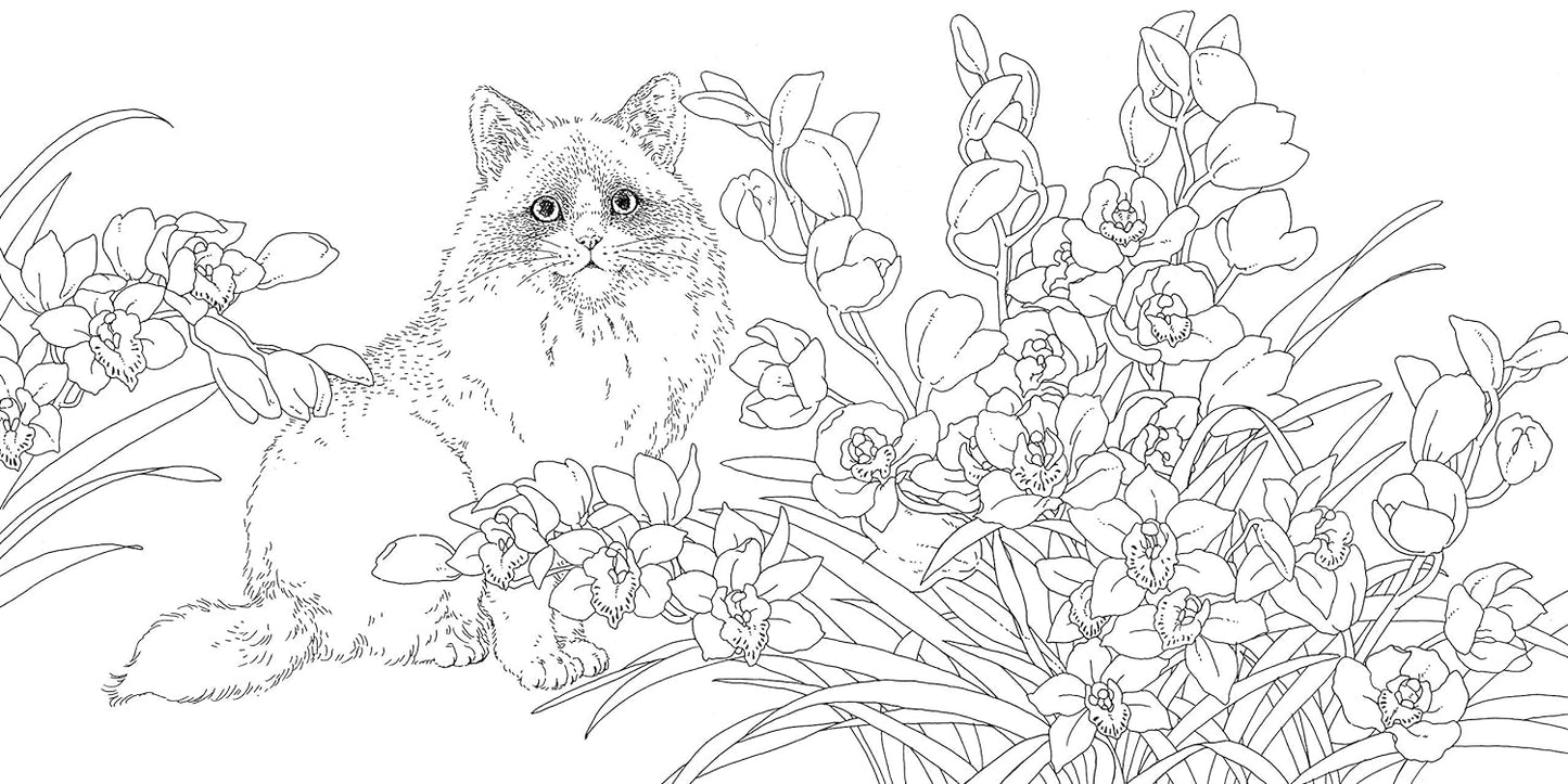 Gift from the Animals Coloring Book  - Japanese Coloring Book