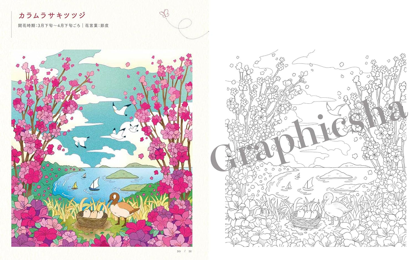 Heart Warming Coloring Book of Flowers and Animals  - Japanese Coloring Book