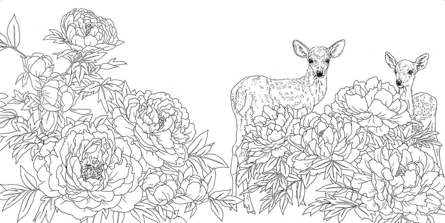 Gift from the Animals Coloring Book  - Japanese Coloring Book