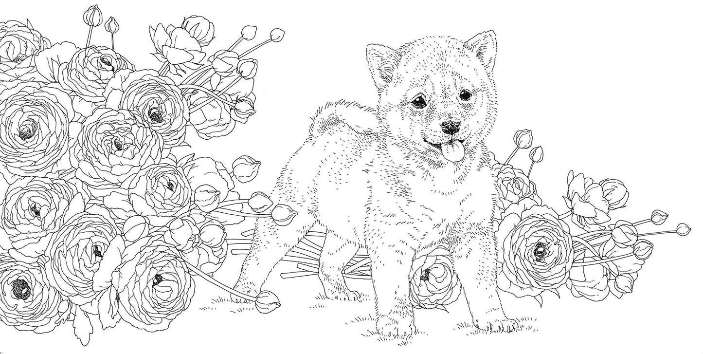 Gift from the Animals Coloring Book  - Japanese Coloring Book