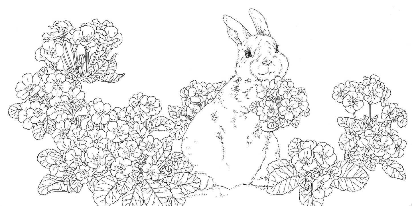 Gift from the Animals Coloring Book  - Japanese Coloring Book