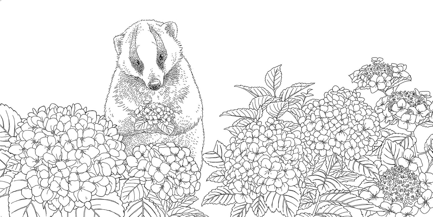 Gift from the Animals Coloring Book  - Japanese Coloring Book