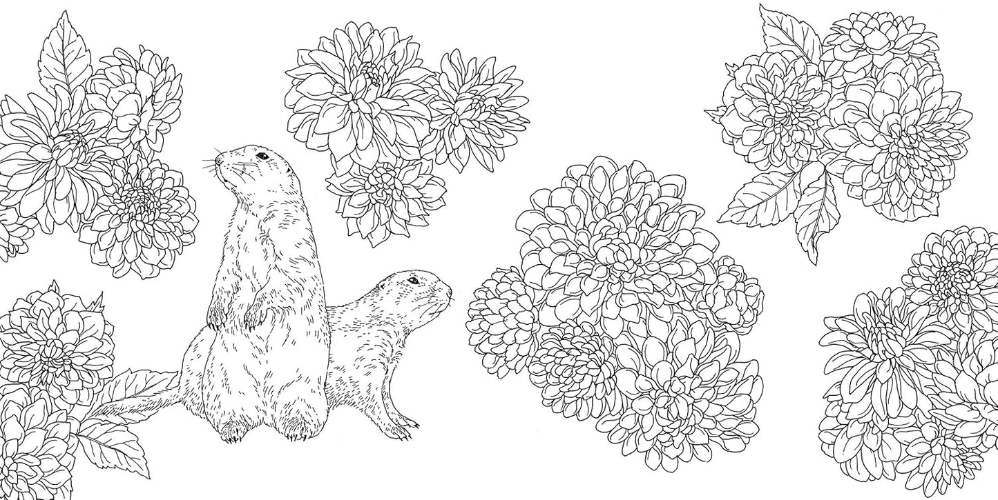 Gift from the Animals Coloring Book  - Japanese Coloring Book