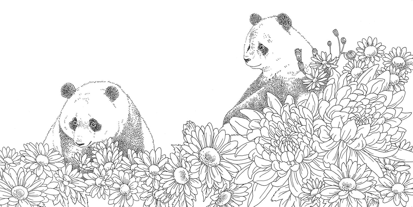 Gift from the Animals Coloring Book  - Japanese Coloring Book