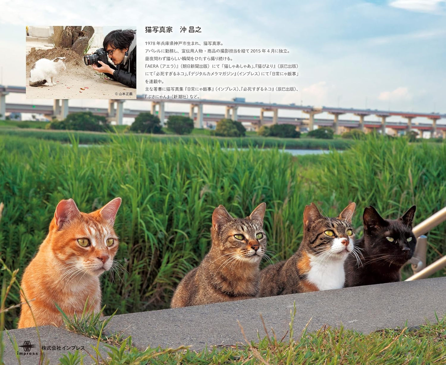 Masayuki Oki's the Free-roaming Cats Coloring Book - Japanese Coloring Book