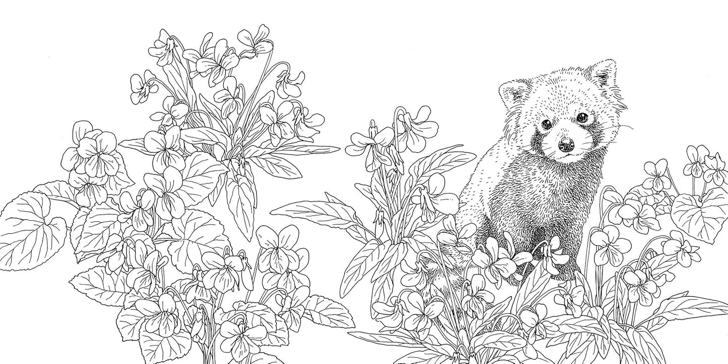 Gift from the Animals Coloring Book  - Japanese Coloring Book