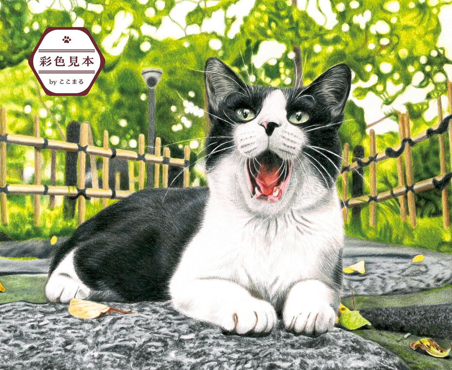 Masayuki Oki's the Free-roaming Cats Coloring Book - Japanese Coloring Book