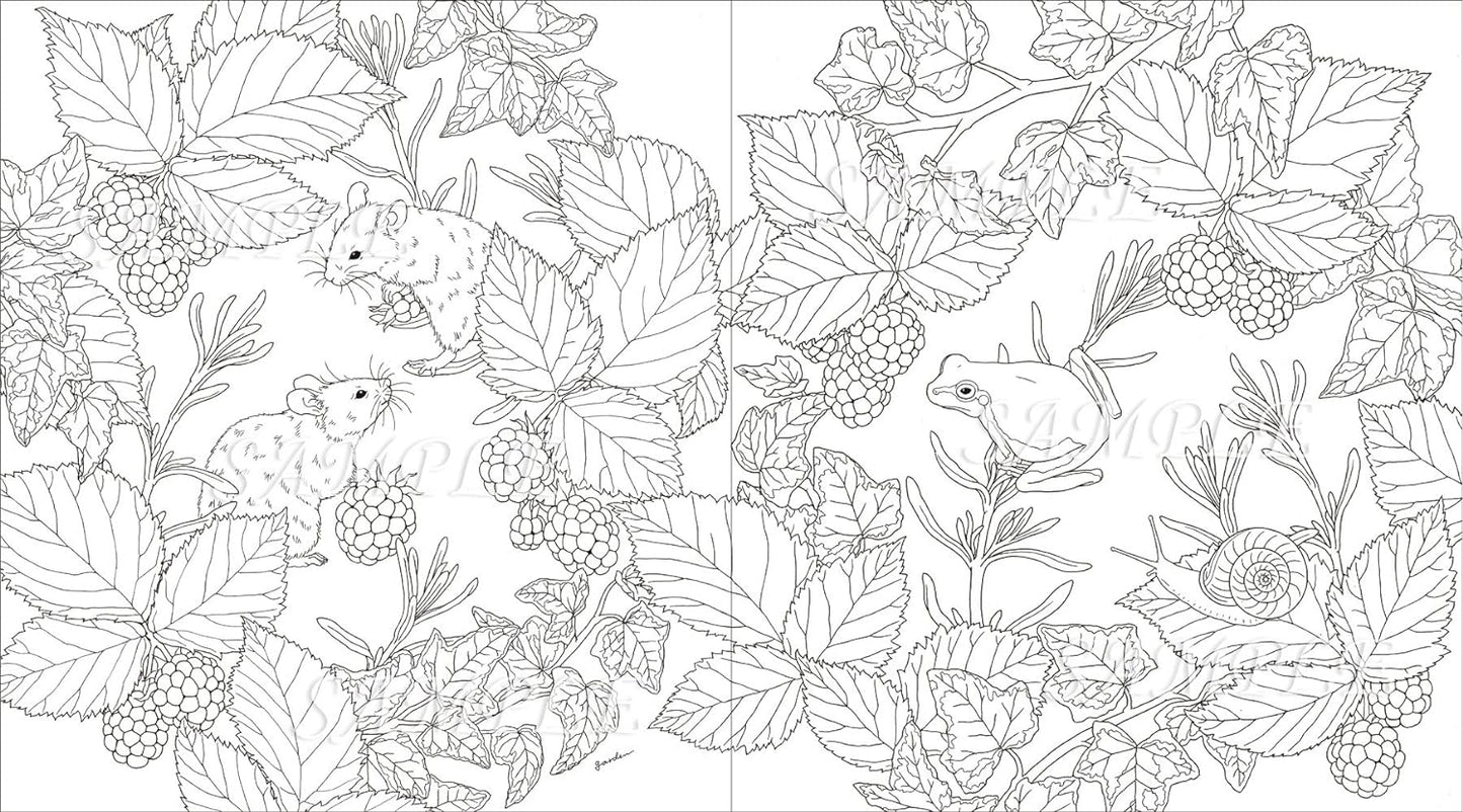 Garden Coloring Book - Japanese Coloring Book