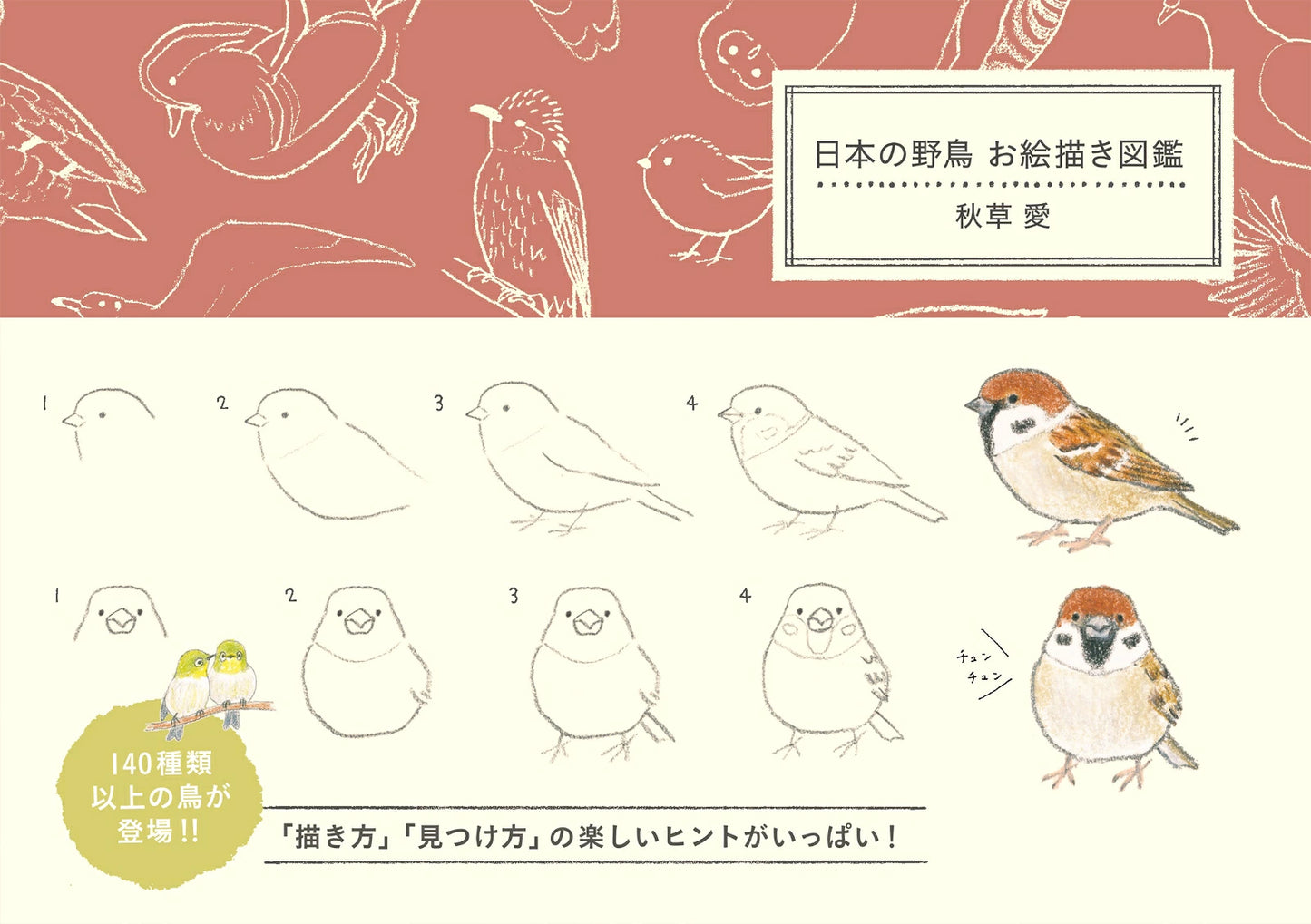 How to Draw Birds Illustration Lesson Book - Japanese Craft Book