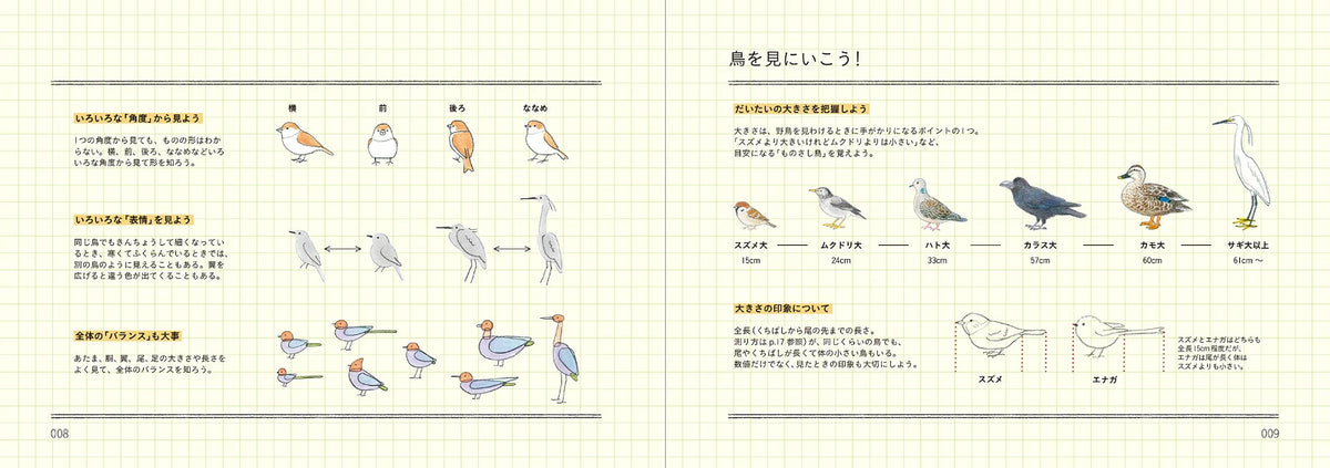 How to Draw Birds Illustration Lesson Book - Japanese Craft Book