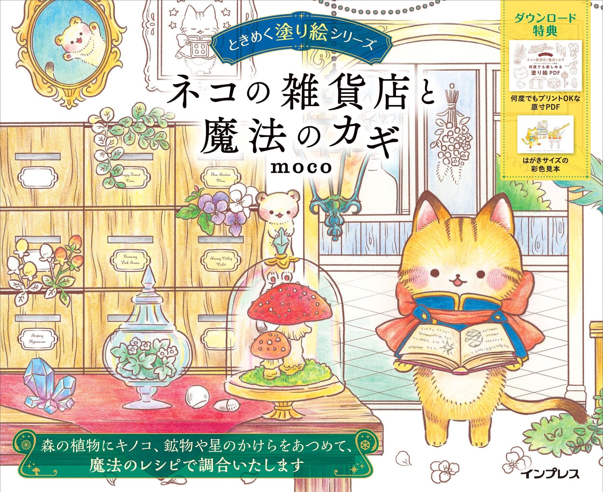 CAT's Magical General Store Coloring Book - Japanese Coloring Book