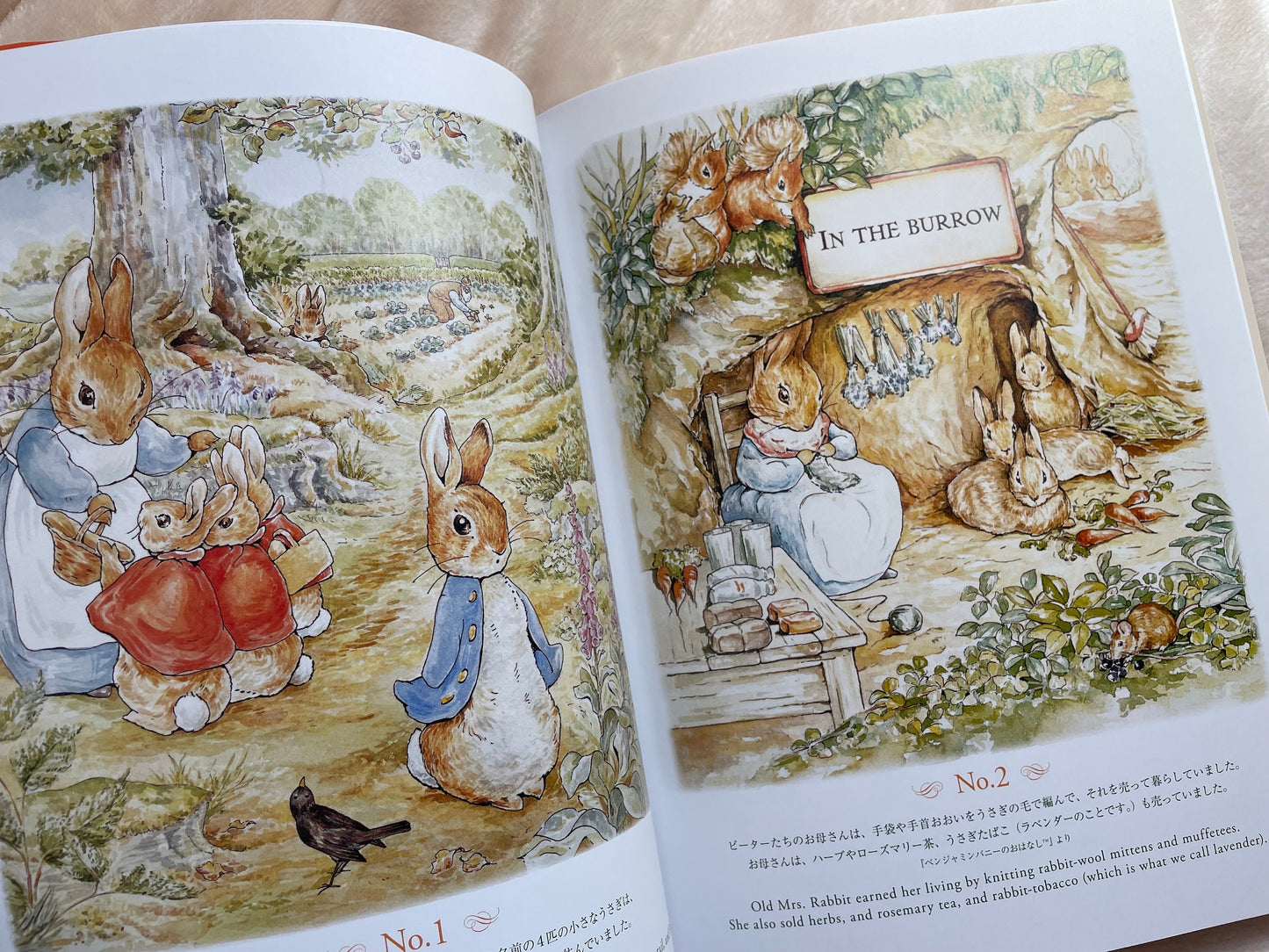 The World of Peter Rabbit Coloring Book - Japanese Coloring Book