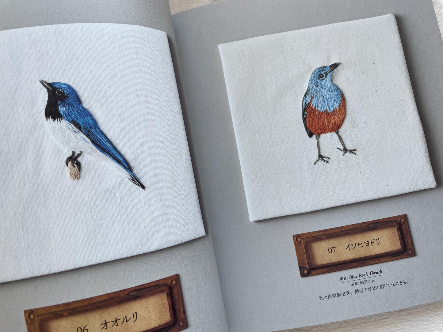 Beautiful Wild Bird Embroidery - Japanese Craft Book