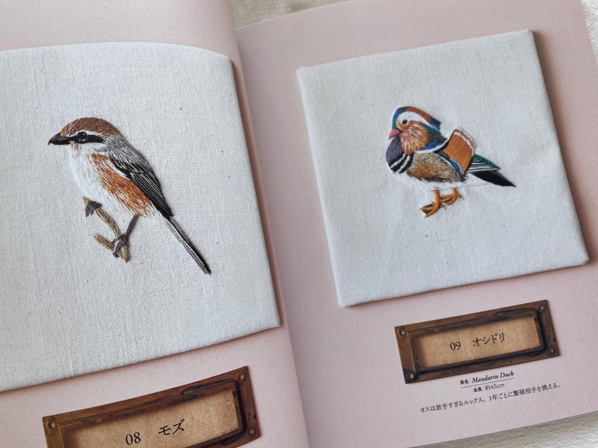 Beautiful Wild Bird Embroidery - Japanese Craft Book