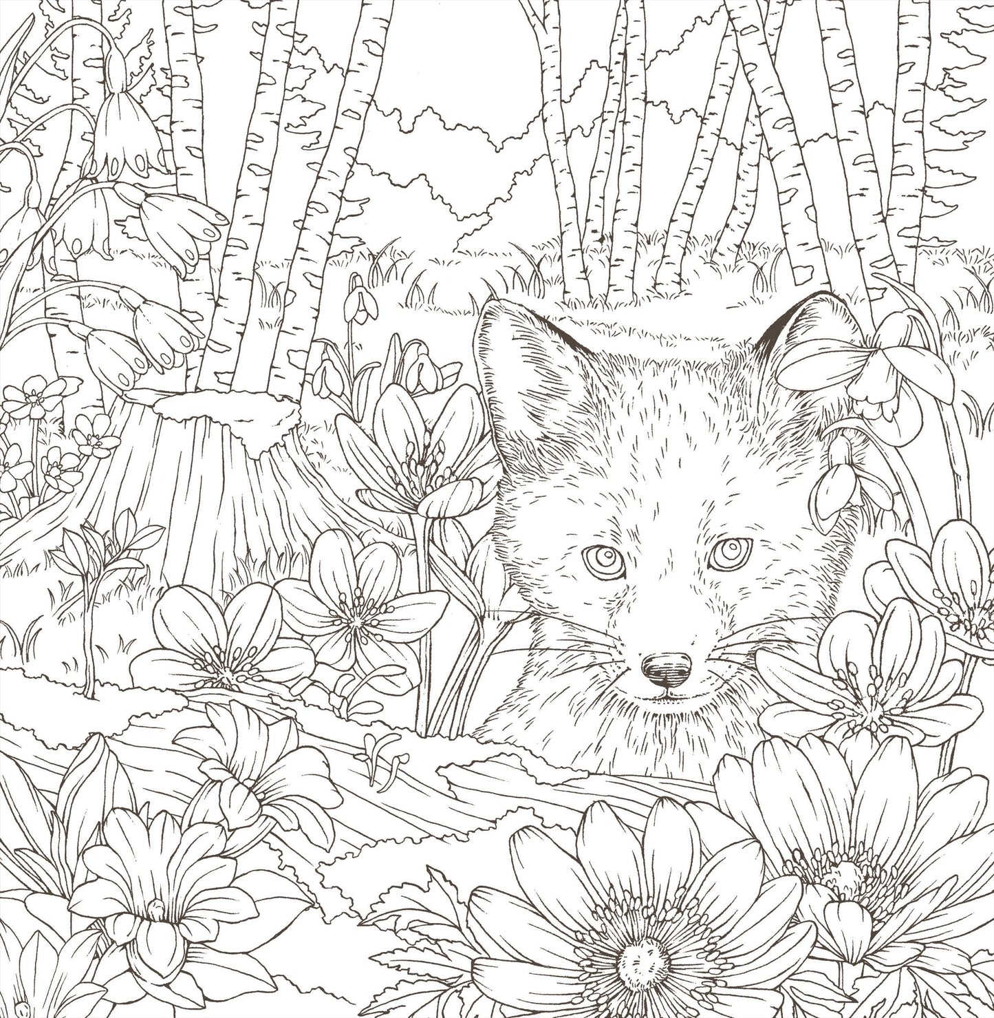 Symphony of Cute Animals- Japanese Coloring Book by Kanoko Egusa